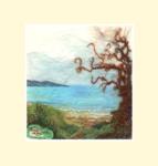 freestyle embroidery